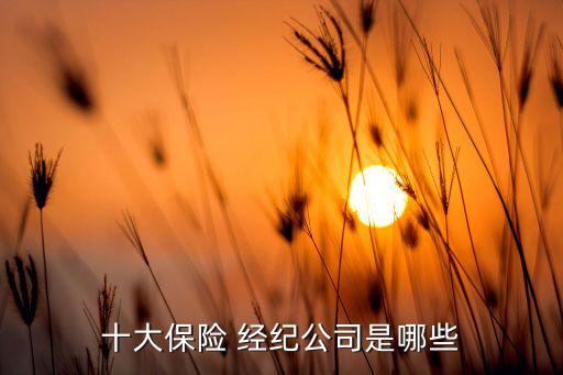 十大保險 經(jīng)紀公司是哪些