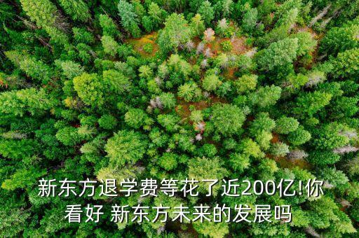  新東方退學(xué)費等花了近200億!你看好 新東方未來的發(fā)展嗎