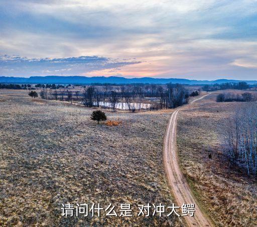 請(qǐng)問什么是 對(duì)沖大鱷