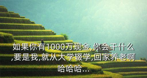 如果你有1000萬現(xiàn)金,你會(huì)干什么,要是我,就從大學(xué)輟學(xué),回家養(yǎng)老啊哈哈哈...