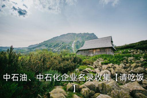 中石油、中石化企業(yè)名錄收集【請吃飯】