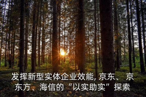 發(fā)揮新型實體企業(yè)效能, 京東、 京東方、海信的“以實助實”探索
