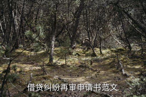 借貸糾紛再審申請(qǐng)書(shū)范文