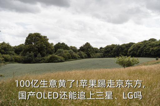 100億生意黃了!蘋果踢走京東方,國(guó)產(chǎn)OLED還能追上三星、LG嗎