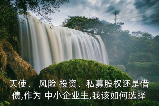 天使、 風(fēng)險(xiǎn) 投資、私募股權(quán)還是借債,作為 中小企業(yè)主,我該如何選擇