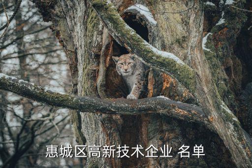 惠城區(qū)高新技術企業(yè) 名單