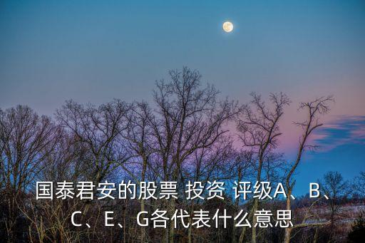 國(guó)泰君安的股票 投資 評(píng)級(jí)A、B、C、E、G各代表什么意思