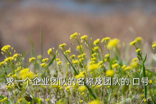 求一個(gè)企業(yè)團(tuán)隊(duì)的名稱及團(tuán)隊(duì)的 口號(hào)、