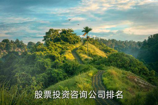 股票投資咨詢(xún)公司排名