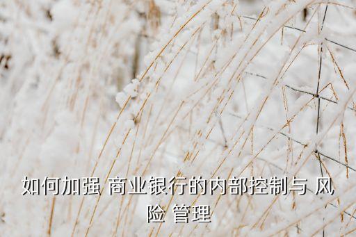 商業(yè)銀行風險管理指引