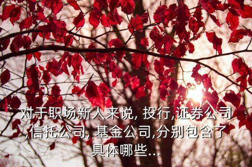 對(duì)于職場(chǎng)新人來說, 投行,證券公司,信托公司, 基金公司,分別包含了具體哪些...