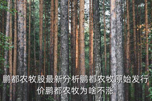 鵬都農牧股最新分析鵬都農牧原始發(fā)行價鵬都農牧為啥不漲