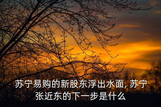 蘇寧深圳分公司,蘇寧易購(gòu)深圳分公司