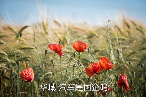  華域 汽車(chē)是國(guó)企嗎