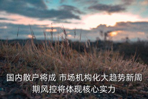 國內(nèi)散戶將成 市場機(jī)構(gòu)化大趨勢新周期風(fēng)控將體現(xiàn)核心實力
