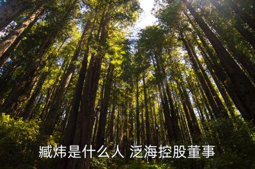 臧煒是什么人 泛?？毓啥? class=