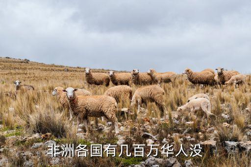 非洲各國(guó)有幾百萬華人沒