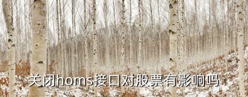 關閉homs接口對股票有影響嗎