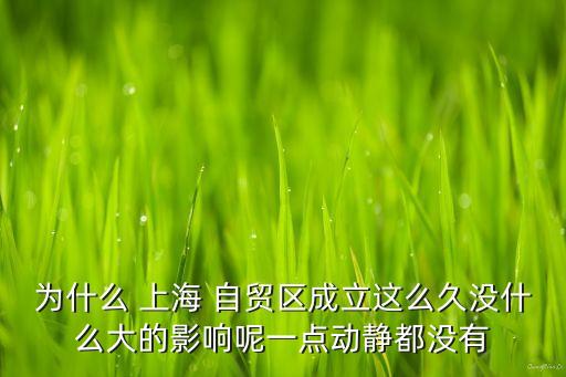 為什么 上海 自貿區(qū)成立這么久沒什么大的影響呢一點動靜都沒有