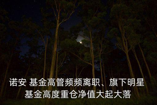 諾安 基金高管頻頻離職、旗下明星 基金高度重倉凈值大起大落