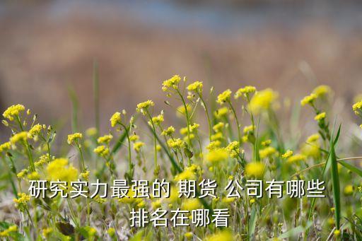 研究實力最強的 期貨 公司有哪些 排名在哪看