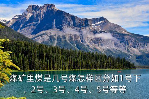  煤礦里煤是幾號煤怎樣區(qū)分如1號下、2號、3號、4號、5號等等