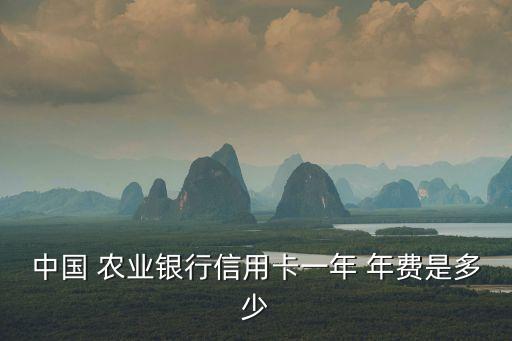 農(nóng)業(yè)銀行卡年費收取規(guī)則,建設銀行卡年費收取規(guī)則