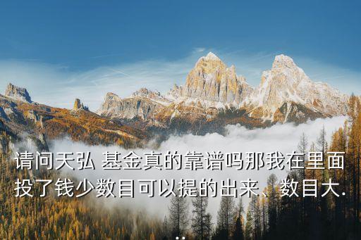 請問天弘 基金真的靠譜嗎那我在里面投了錢少數(shù)目可以提的出來、數(shù)目大...