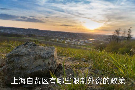 上海外商投資網(wǎng),外商投資產(chǎn)業(yè)指導目錄