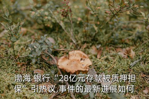  渤海 銀行“28億元存款被質(zhì)押擔(dān)?！币裏嶙h,事件的最新進(jìn)展如何