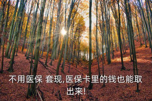 不用醫(yī)保 套現(xiàn),醫(yī)保卡里的錢(qián)也能取出來(lái)!
