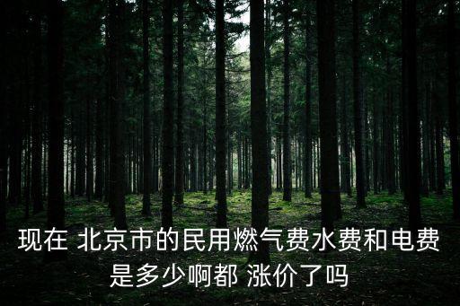 現在 北京市的民用燃氣費水費和電費是多少啊都 漲價了嗎