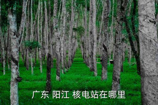 陽江核電基地開發(fā)有限公司,中廣核核電運(yùn)營有限公司陽江分公司