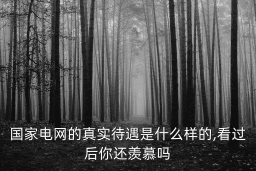 國(guó)家電網(wǎng)的真實(shí)待遇是什么樣的,看過(guò)后你還羨慕嗎