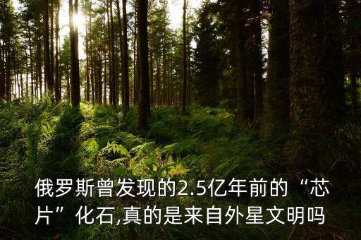 俄羅斯納米技術(shù)集團,上海迦藍海納米技術(shù)集團