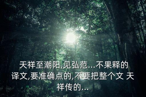  天祥至潮陽(yáng),見弘范...不果釋的譯文,要準(zhǔn)確點(diǎn)的,不要把整個(gè)文 天祥傳的...