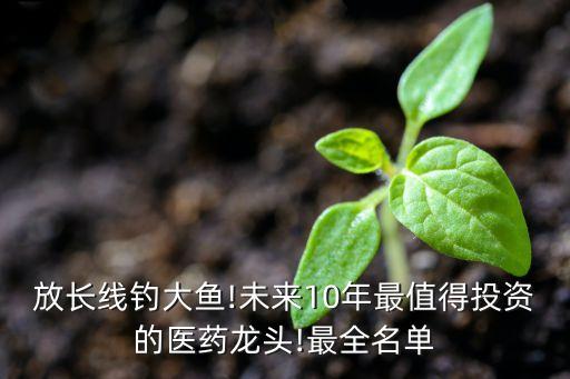 放長(zhǎng)線釣大魚!未來10年最值得投資的醫(yī)藥龍頭!最全名單