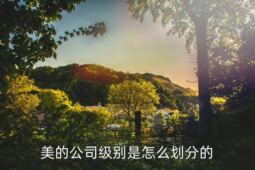 2015年美的集團組織結(jié)構(gòu)