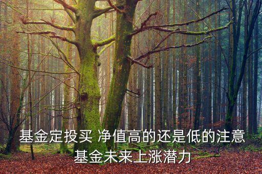 買(mǎi)基金凈值高還是低好,凈值高的基金能買(mǎi)嗎