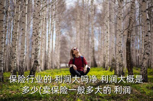 保險(xiǎn)行業(yè)的 利潤(rùn)大嗎凈 利潤(rùn)大概是多少(賣保險(xiǎn)一般多大的 利潤(rùn)