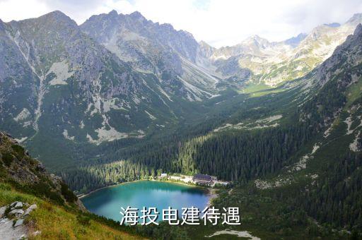 中國海外石油與礦產資源投資有限公司
