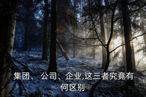  集團(tuán)、 公司、企業(yè),這三者究竟有何區(qū)別