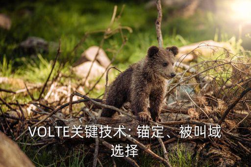 VOLTE關(guān)鍵技術(shù): 錨定、被叫域選擇