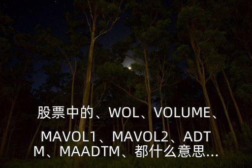  股票中的、WOL、VOLUME、MAVOL1、MAVOL2、ADTM、MAADTM、都什么意思...