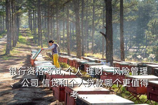 銀行資格考試,個(gè)人 理財(cái)、風(fēng)險(xiǎn)管理、 公司 信貸和個(gè)人貸款哪個(gè)更值得考...