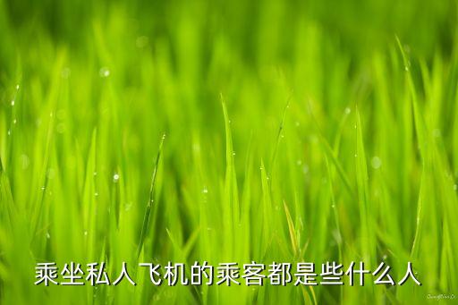 乘坐私人飛機(jī)的乘客都是些什么人