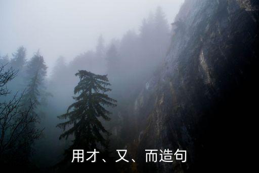 用才、又、而造句