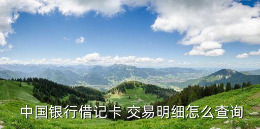  中國(guó)銀行借記卡 交易明細(xì)怎么查詢(xún)
