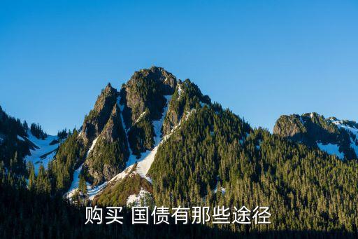 購買 國(guó)債有那些途徑