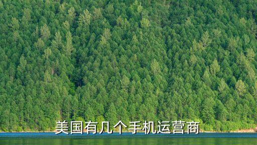 美國有幾個手機(jī)運(yùn)營商